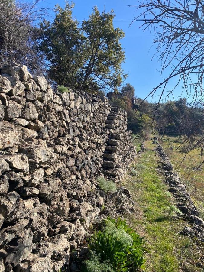 Villa Casina Dell'Etna Ragalna Eksteriør bilde